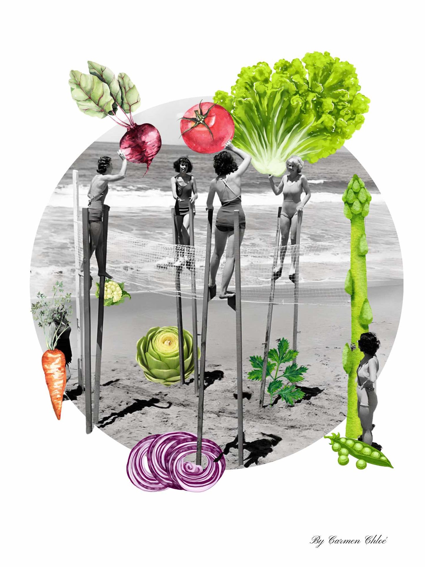 Partido vegetal